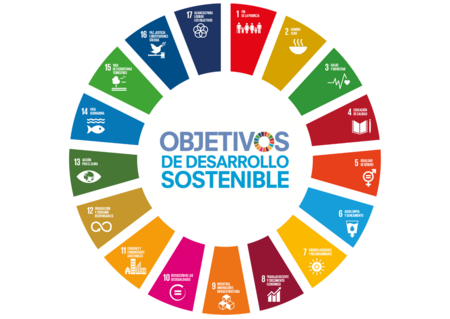 Que son os Obxectivos de Desenvolvemento Sostible? (ODS)